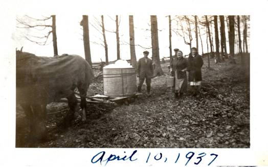 Sugar bush3.jpg